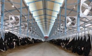 被對(duì)賭協(xié)議壓垮的現(xiàn)代牧業(yè)半年報(bào)：股價(jià)不及預(yù)期要賠私募4億