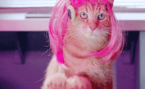 济南大学生网贷逾期未还亲友收到遭辱骂短信，对方威胁寄花圈