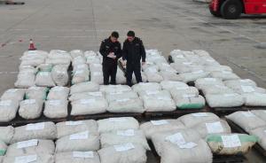 逾5000只穿山甲被殺取下3噸鱗片，走私到中國被查獲