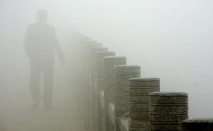 保險公司單一股東持股比例上限降至1/3，這11家或受影響