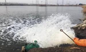 浙江一男子往魚塘添加孔雀石綠被刑拘，曾謊稱系周邊工廠影響