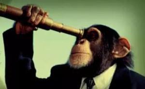 我们为什么对无用的意见或者专家意见如饥似渴？