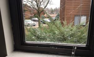 四川留美学生持霰弹枪击退3名非法入侵男子，当场击毙一人