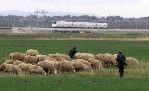 中国铁总总经理陆东福：全国高铁运营里程已超过2.2万公里