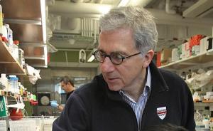 糖尿病新疗法宣告无效，哈佛教授主动将《细胞》重磅论文撤回