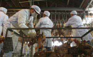 深圳2人感染H7N9流感其中1人危重，27名接觸者無異常