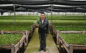 中国村支书丨6年在外务工体味寒酸 ，8年干村官感到自豪