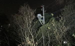 網(wǎng)絡(luò)媒體走轉(zhuǎn)改丨武漢“小燈”班長修燈十余萬盞，想干到退休