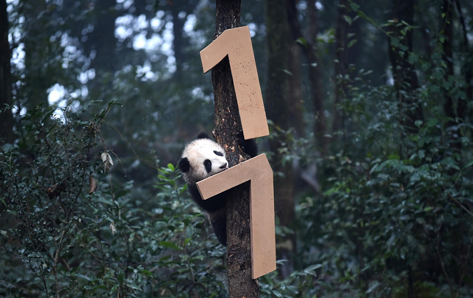 9