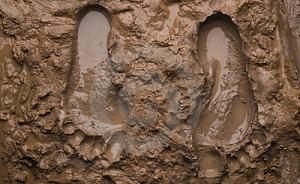 人民日?qǐng)?bào)刊文：不受監(jiān)督的權(quán)力則是通向腐敗的捷徑