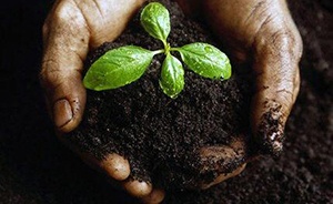 上海將建立潛在污染場地信息庫，并推出農(nóng)作物推薦種植清單