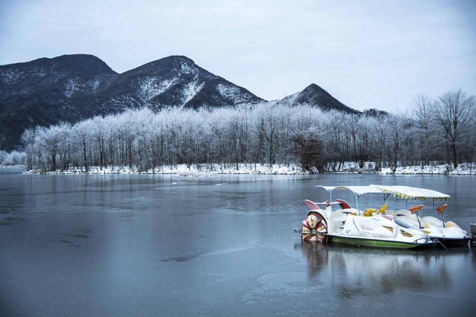 M_XxjpsgC001186_20170113_TPPFN1A001