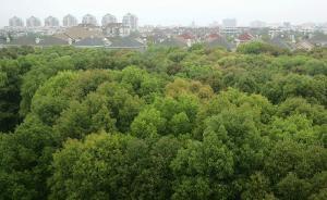 熱議上海政府工作報(bào)告｜專家：落實(shí)河長(zhǎng)制意味追責(zé)到人