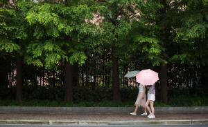 時(shí)隔12年上海再次調(diào)查適合本地栽種樹種，杉類樹要多栽多培