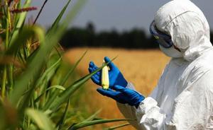 署名支持转基因的诺奖得主升至123人，中国两院士签名支持