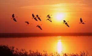 能否常回家只有老板说了算？光明日报刊文：打通制度拥堵点