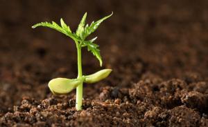 中國首次明確土壤污染治理與修復(fù)實行終身責(zé)任制