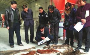 陜西咸陽查獲重大非法購買食用野生動(dòng)物案：宰殺為給朋友嘗鮮