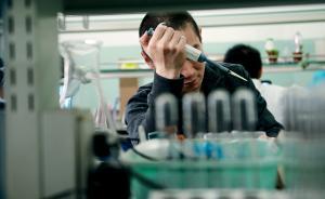 诺维信称测试NgAgo后看到可能有用的迹象，未提重复性