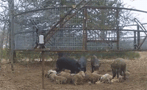 中介负责人获内幕信息炒股赚1亿，他还带着身边朋友一起发财