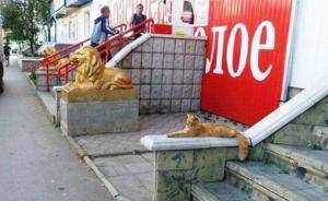 人民日?qǐng)?bào)刊文:有企業(yè)仿品質(zhì)量優(yōu)于正品卻要蹭名牌,令人心痛