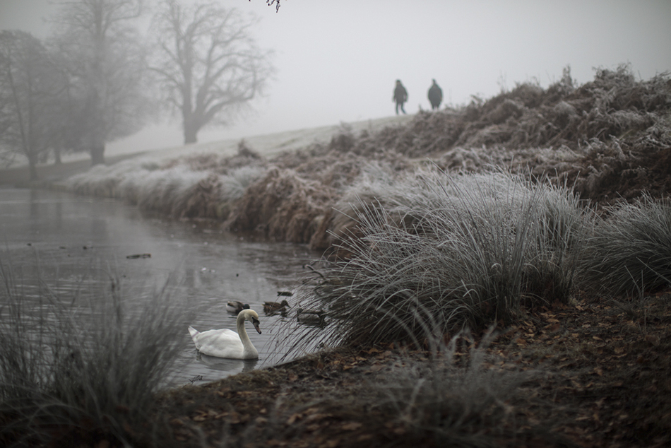 12当地时间2017年1月23日，英国伦敦遇大雾天气。2