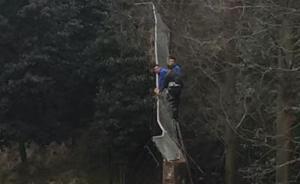 寧波通報動物園老虎傷人：死亡游客未買票，翻墻入老虎散放區(qū)