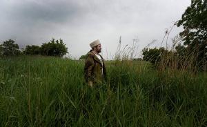 俄罗斯所有公民可在俄远东获取1公顷土地，享5年无偿使用权