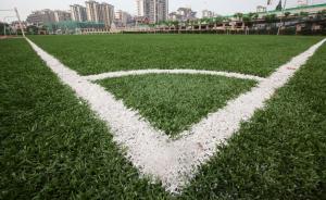 全國校足辦：今年全國校園足球特色學(xué)校爭取達(dá)2萬所