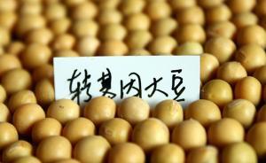 专家：中国人有80%以上吃过转基因食品，儿子已吃十多年