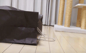 檢查組來(lái)了就關(guān)，走了又偷偷生產(chǎn)：停產(chǎn)整頓容不得“躲貓貓”