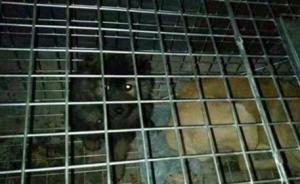 北京懷柔區(qū)某派出所所長被指帶頭抓流浪狗吃，分局介入調(diào)查