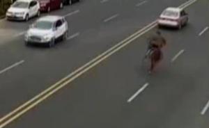 男子在闹市纵马狂奔,撞车受重伤