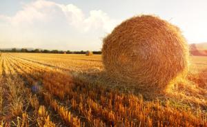 農業部將秸稈等農業廢棄物資源化利用列入重大任務