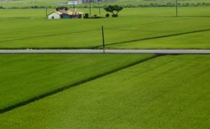 臺(tái)灣農(nóng)地政策的變遷：從“耕者有其田”到“農(nóng)地農(nóng)用”