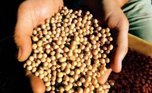 專家：不少地區(qū)的農(nóng)民從阿根廷走私轉(zhuǎn)基因種子、大面積種植