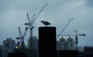 “上班喝牛奶”被批，“下班打麻將”被罰：好經(jīng)為何念歪了？