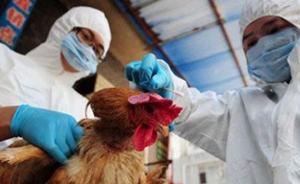 中国疾控中心：从两例人感染病例中发现H7N9病毒变异株