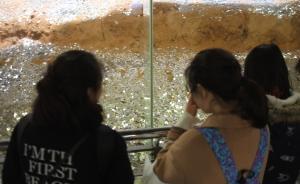 游客為祈愿，杭州雷峰塔遺址被數(shù)萬現(xiàn)金覆蓋變身“金銀島”