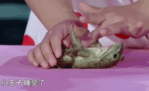 央媒起底所謂“身心靈輔導(dǎo)機(jī)構(gòu)”：動(dòng)輒吸納學(xué)員上百萬元