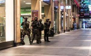 中國駐慕尼黑總領事：安全形勢尚不明朗，謹慎來德