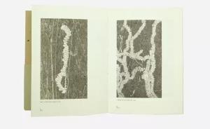 没有文字的《虫子书》荣获2017“世界最美的书”银奖