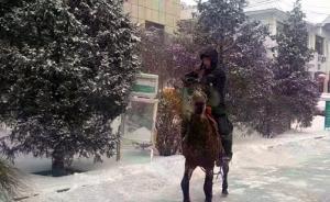 快递哥雪天骑马送件被称快递界白马王子
