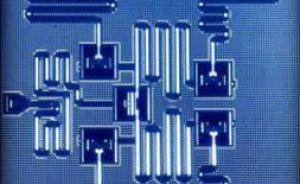 两种量子计算机首次正面较量，运算速度和准确率各显优势