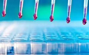 调查与研究 | 争议中发展的“封闭抗体免疫疗法”