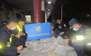 車底嗅到“腥味”,深圳皇崗海關(guān)查獲3300只活體巴西龜