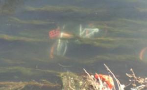 濟(jì)南一男子酒后泄私憤將四輛共享單車(chē)投河，自首后被拘十日