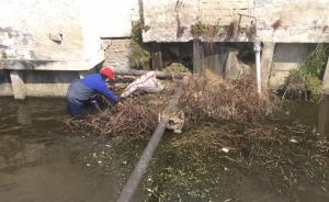 環(huán)境大整治｜上海一河段呈褐色，環(huán)保局責令周邊企業(yè)菜場整改