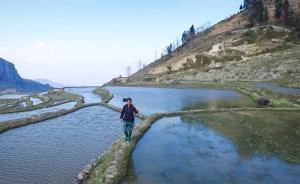 一年之計在于春｜二月撒秧四月插秧九月打谷子，期盼好收成