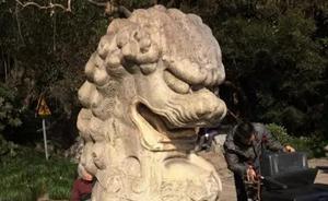 上海長風公園石獅子來自圓明園？ 專家：傳聞破綻百出